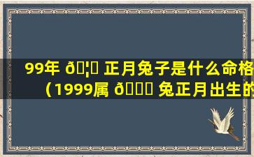 99年 🦁 正月兔子是什么命格（1999属 🐝 兔正月出生的人命好吗）